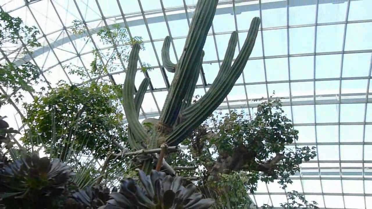 https://mdw-travel-data-us-east-1.s3.amazonaws.com/img/country/Singapore/Aeos-Garden/img_03.jpg