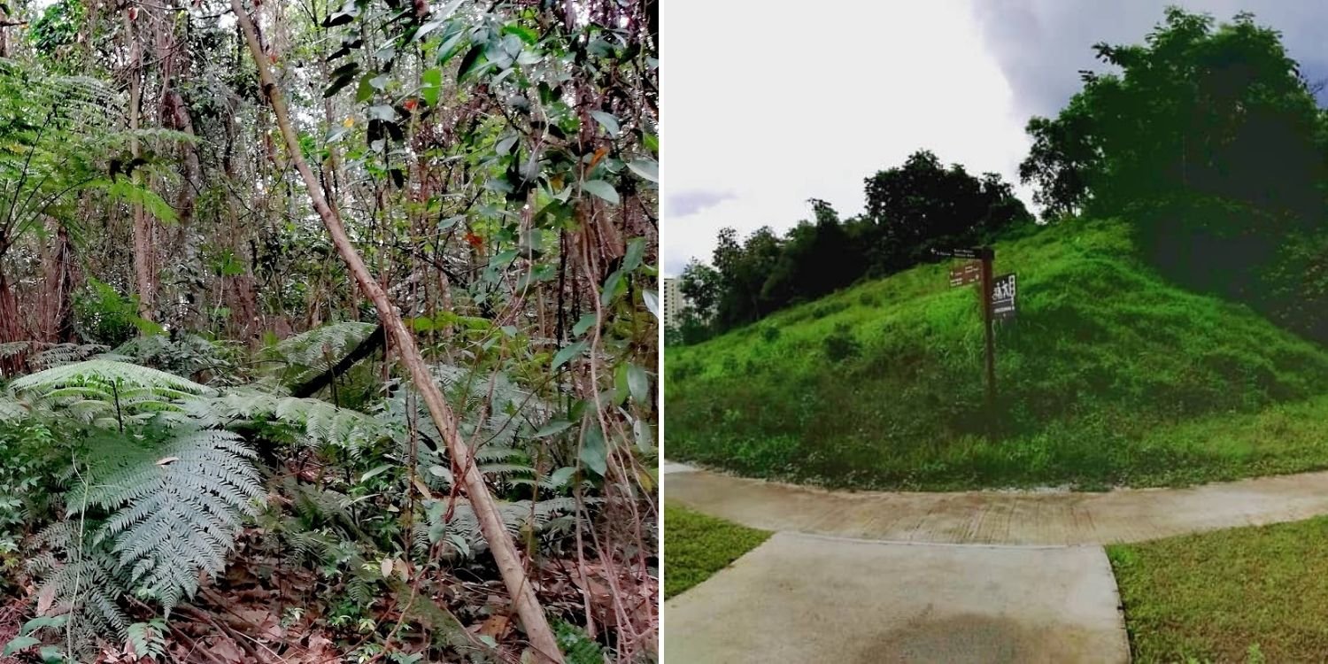 https://mdw-travel-data-us-east-1.s3.amazonaws.com/img/country/Singapore/Bukit-Batok-Hillside-Park/img_00.jpg