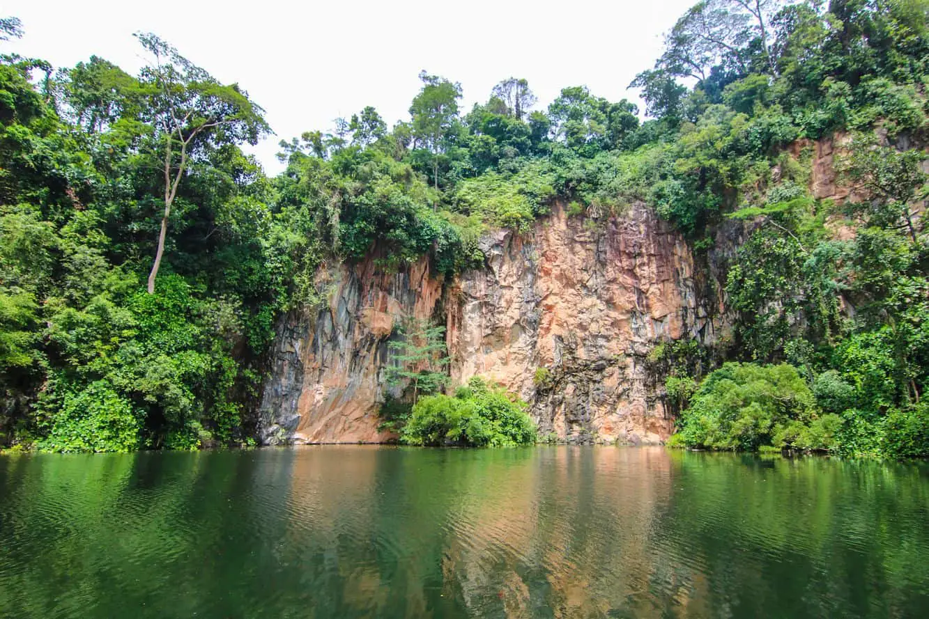 https://mdw-travel-data-us-east-1.s3.amazonaws.com/img/country/Singapore/Bukit-Batok-Nature-Park/img_01.jpg