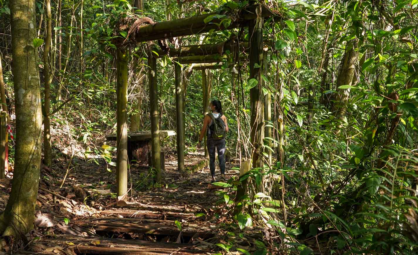 https://mdw-travel-data-us-east-1.s3.amazonaws.com/img/country/Singapore/Bukit-Batok-Nature-Park/img_02.jpg