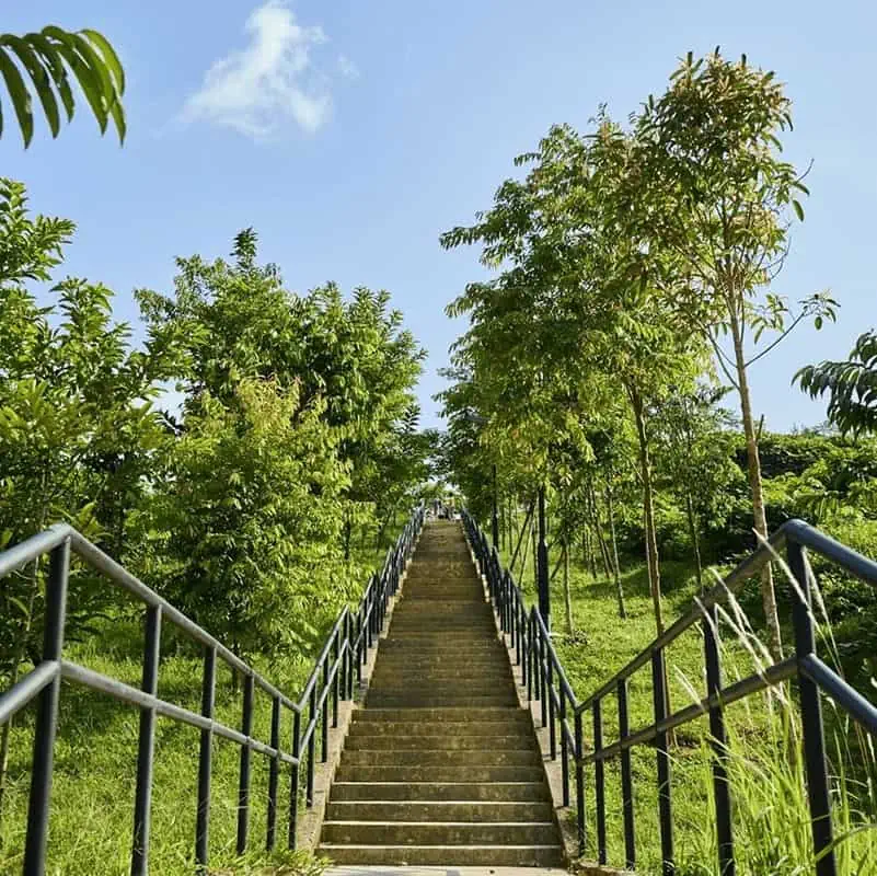 https://mdw-travel-data-us-east-1.s3.amazonaws.com/img/country/Singapore/Bukit-Gombak-Park/img_02.jpg