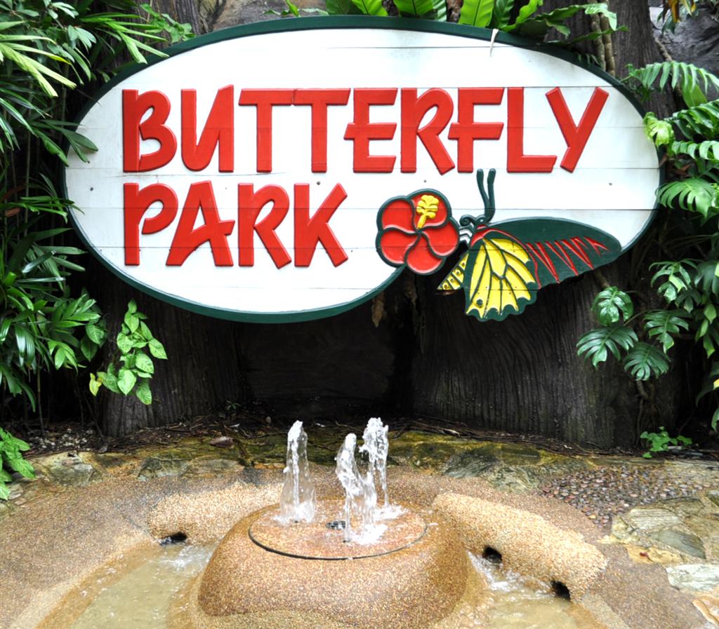 https://mdw-travel-data-us-east-1.s3.amazonaws.com/img/country/Singapore/Butterfly-Park-&-Insect-Kingdom/img_01.jpg