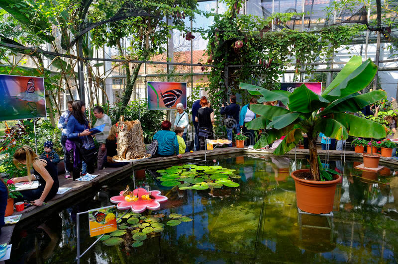 https://mdw-travel-data-us-east-1.s3.amazonaws.com/img/country/Singapore/Butterfly-Park-and-Insect-Kingdom/img_00.jpg