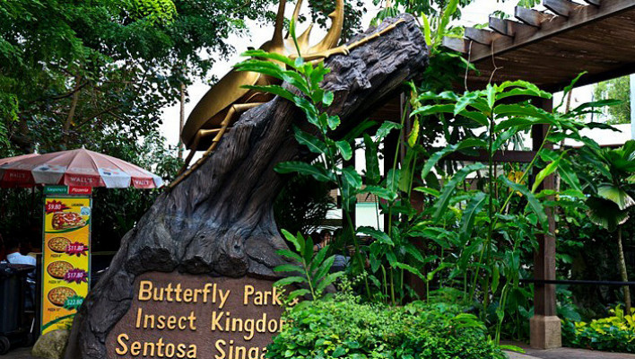 https://mdw-travel-data-us-east-1.s3.amazonaws.com/img/country/Singapore/Butterfly-Park-and-Insect-Kingdom/img_02.jpg