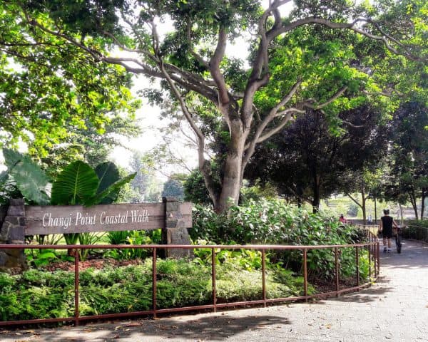 https://mdw-travel-data-us-east-1.s3.amazonaws.com/img/country/Singapore/Changi-Village/img_02.jpg