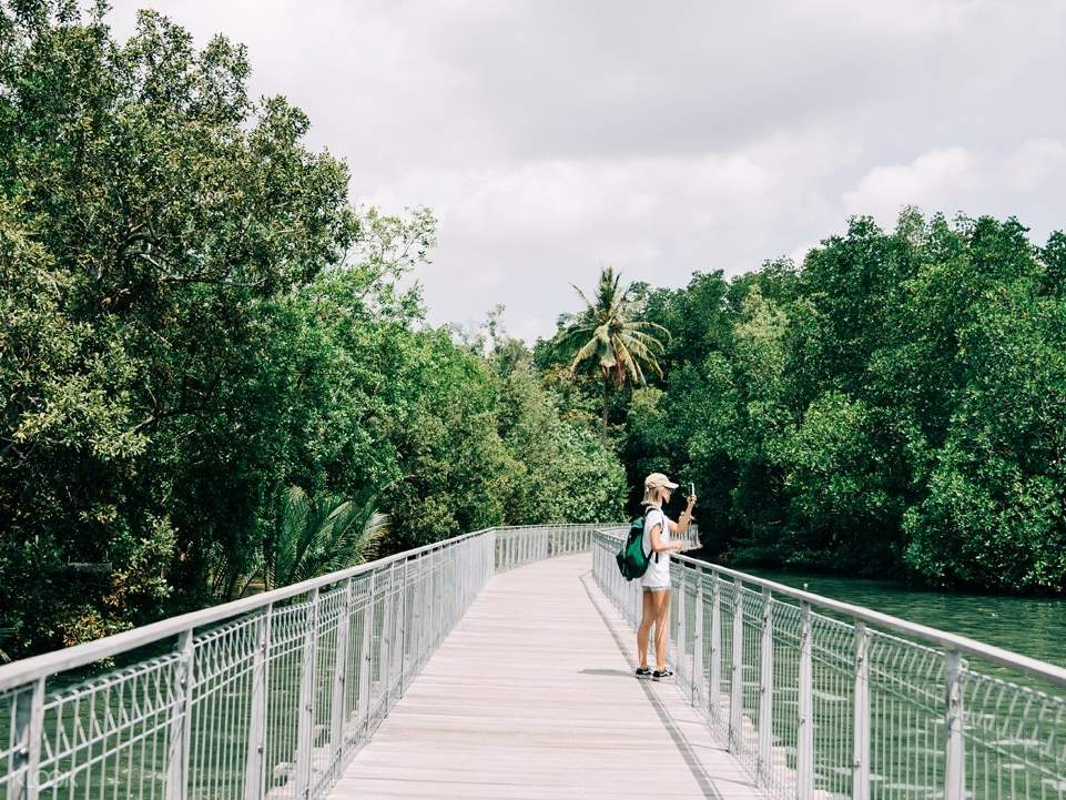 https://mdw-travel-data-us-east-1.s3.amazonaws.com/img/country/Singapore/Chek-Jawa-Wetlands/img_03.jpg