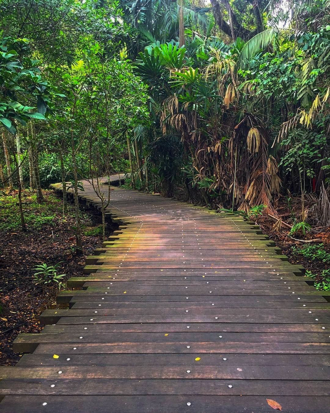 https://mdw-travel-data-us-east-1.s3.amazonaws.com/img/country/Singapore/Chek-Jawa-Wetlands/img_04.jpg