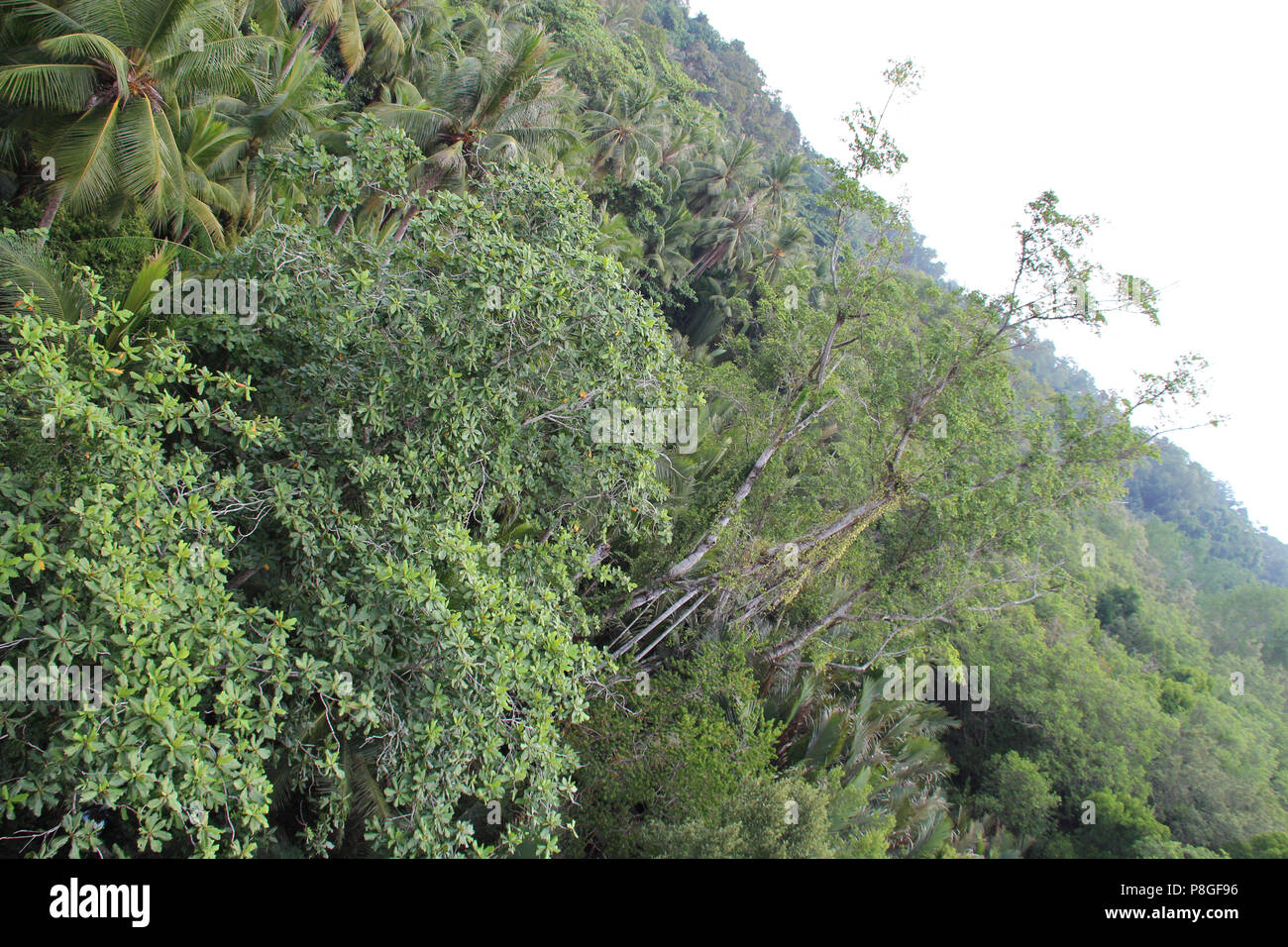 https://mdw-travel-data-us-east-1.s3.amazonaws.com/img/country/Singapore/Chek-Jawa-Wetlands/img_05.jpg