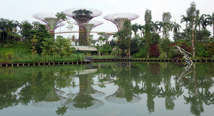 https://mdw-travel-data-us-east-1.s3.amazonaws.com/img/country/Singapore/Childrens-Garden/img_03.jpg