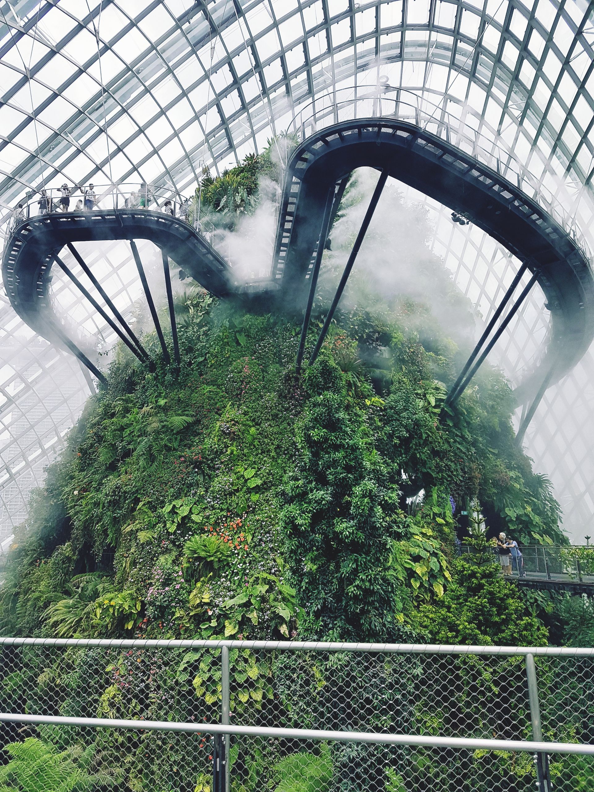 https://mdw-travel-data-us-east-1.s3.amazonaws.com/img/country/Singapore/Cloud-Forest/img_00.jpg
