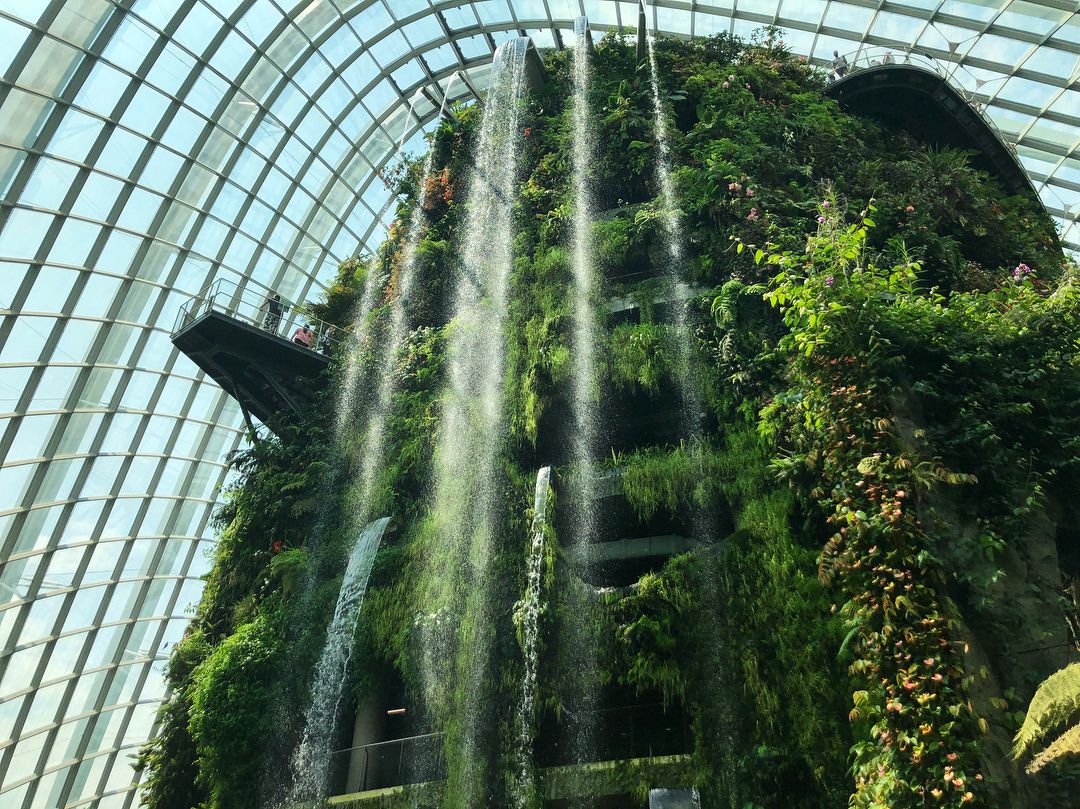 https://mdw-travel-data-us-east-1.s3.amazonaws.com/img/country/Singapore/Cloud-Forest/img_01.jpg