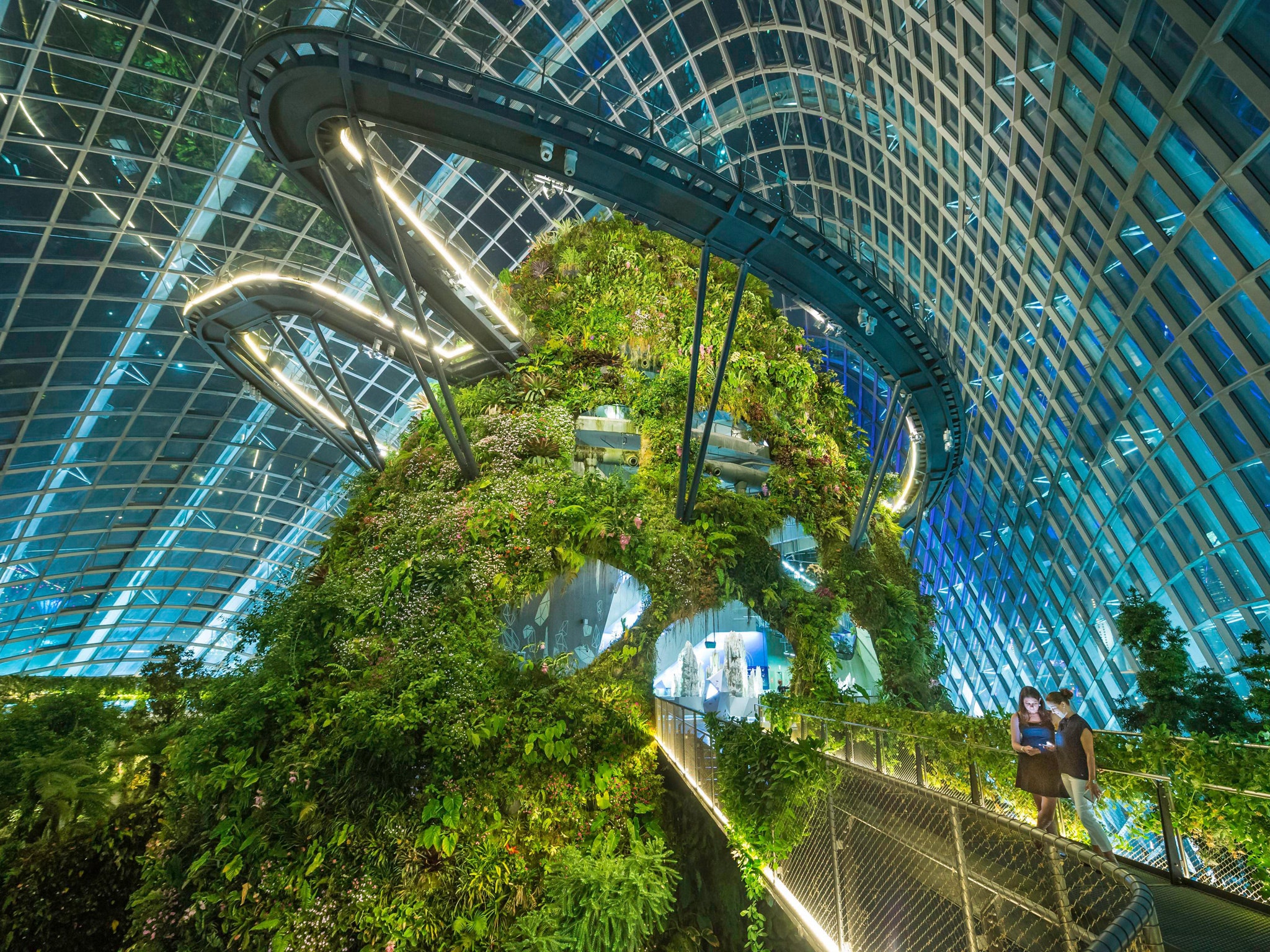 https://mdw-travel-data-us-east-1.s3.amazonaws.com/img/country/Singapore/Cloud-Forest/img_02.jpg