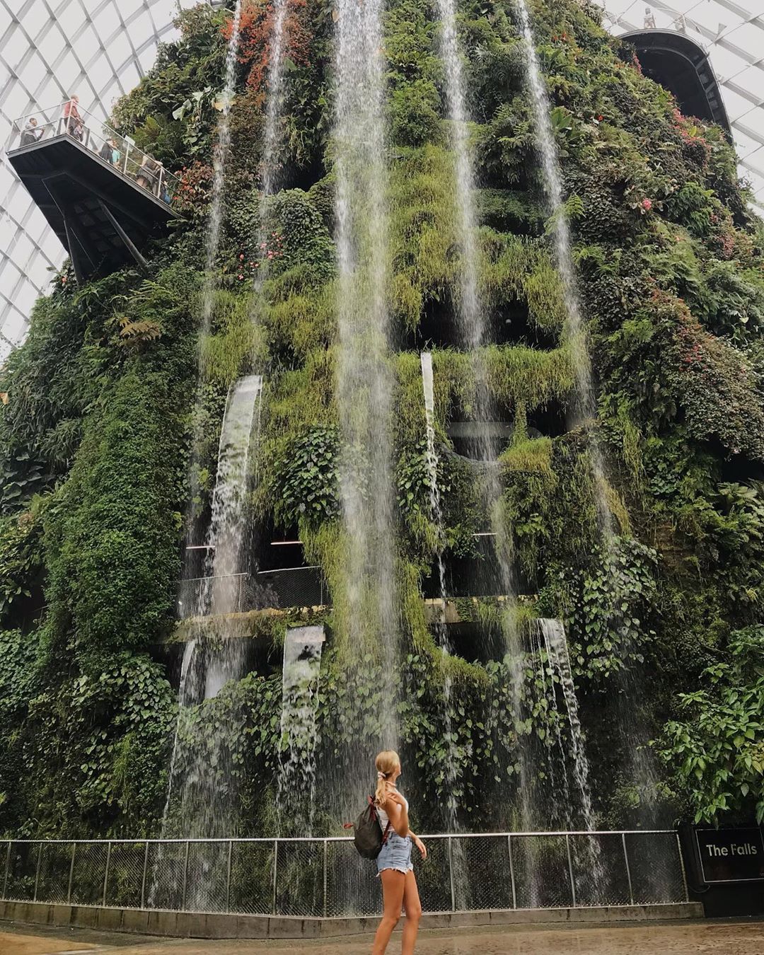 https://mdw-travel-data-us-east-1.s3.amazonaws.com/img/country/Singapore/Cloud-Forest/img_03.jpg
