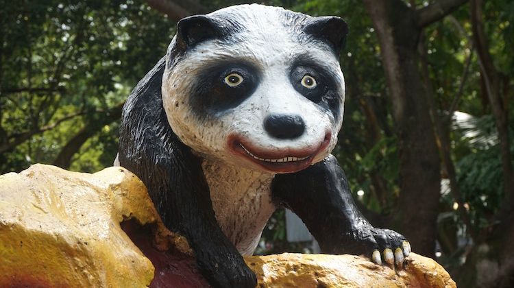 https://mdw-travel-data-us-east-1.s3.amazonaws.com/img/country/Singapore/CreatureS/img_01.jpg