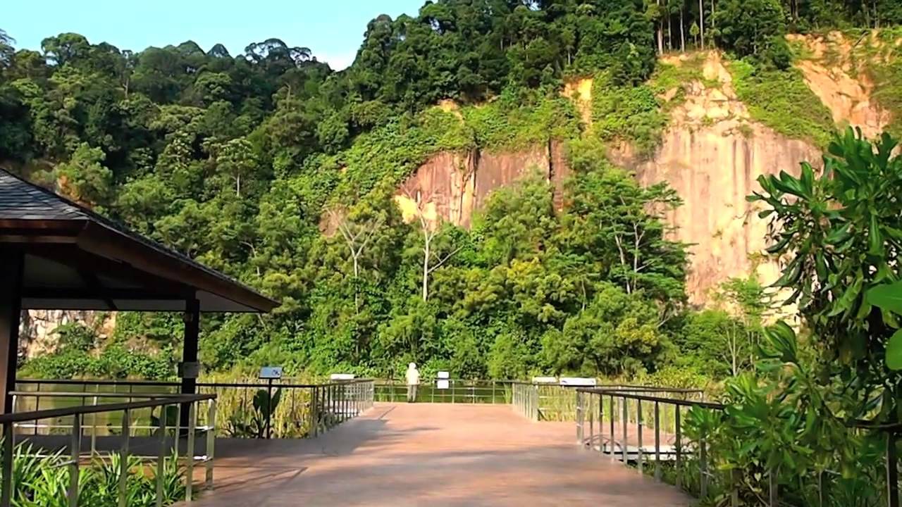 https://mdw-travel-data-us-east-1.s3.amazonaws.com/img/country/Singapore/Dairy-Farm-Nature-Park/img_01.jpg