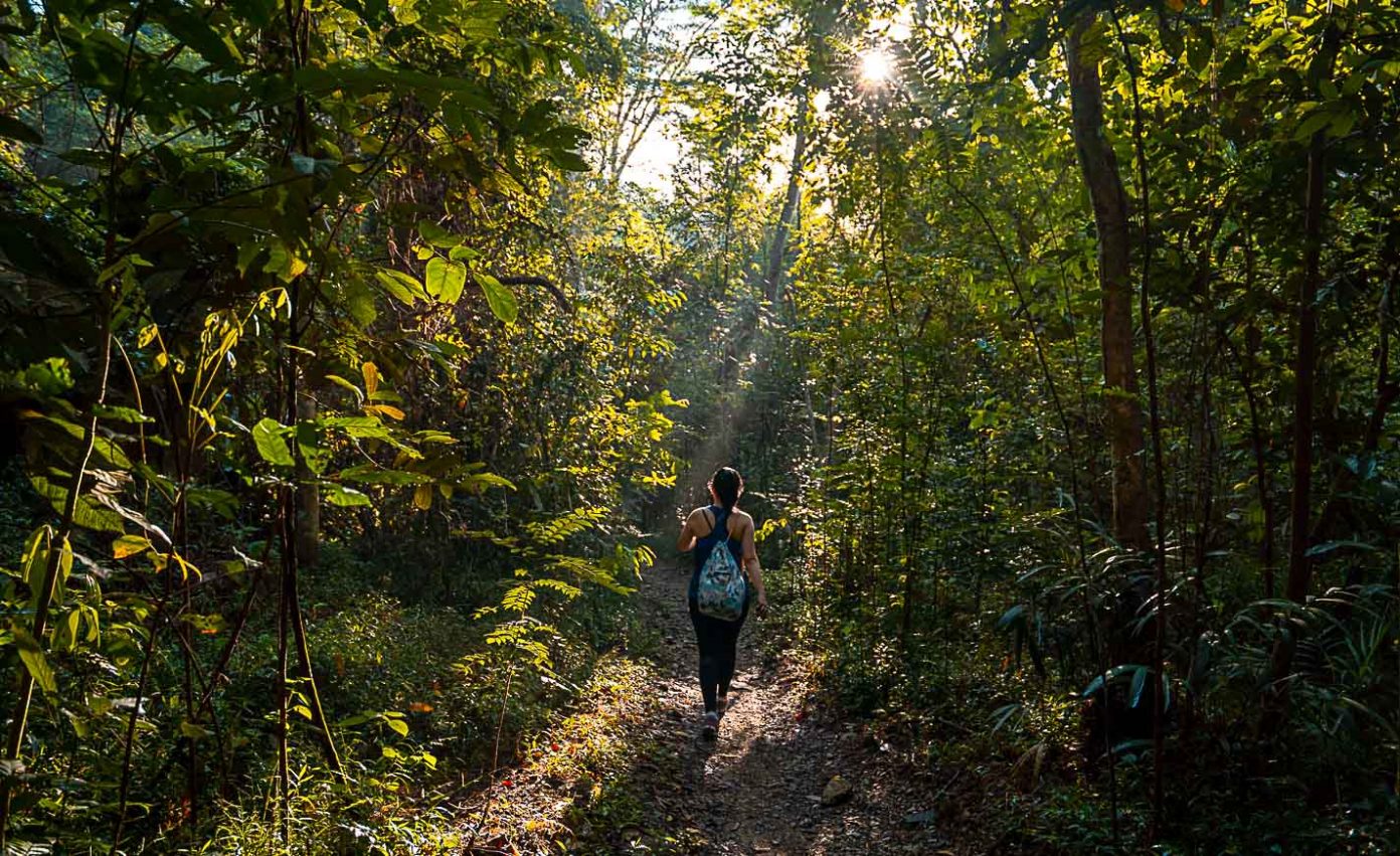 https://mdw-travel-data-us-east-1.s3.amazonaws.com/img/country/Singapore/Dairy-Farm-Nature-Park/img_02.jpg