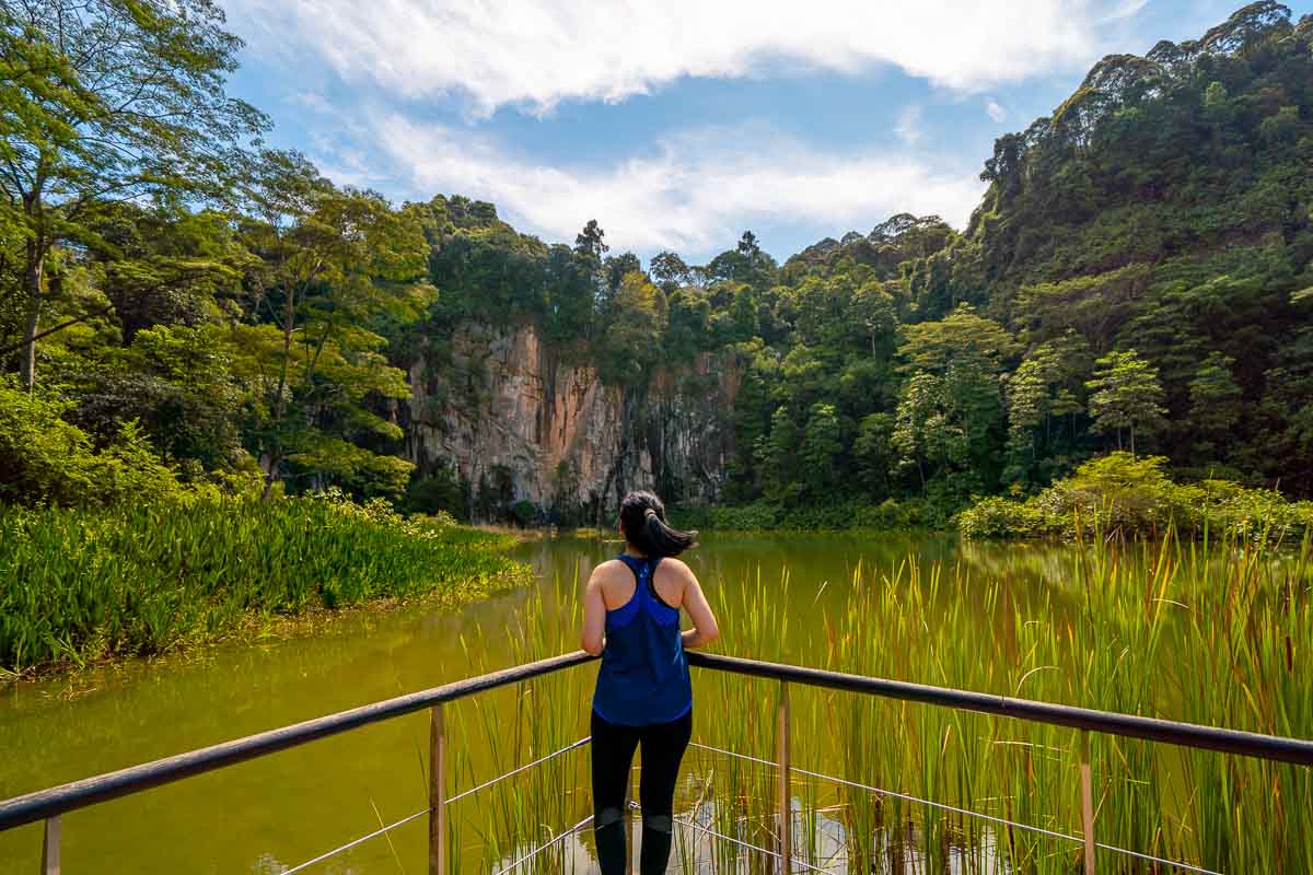 https://mdw-travel-data-us-east-1.s3.amazonaws.com/img/country/Singapore/Dairy-Farm-Nature-Park/img_03.jpg