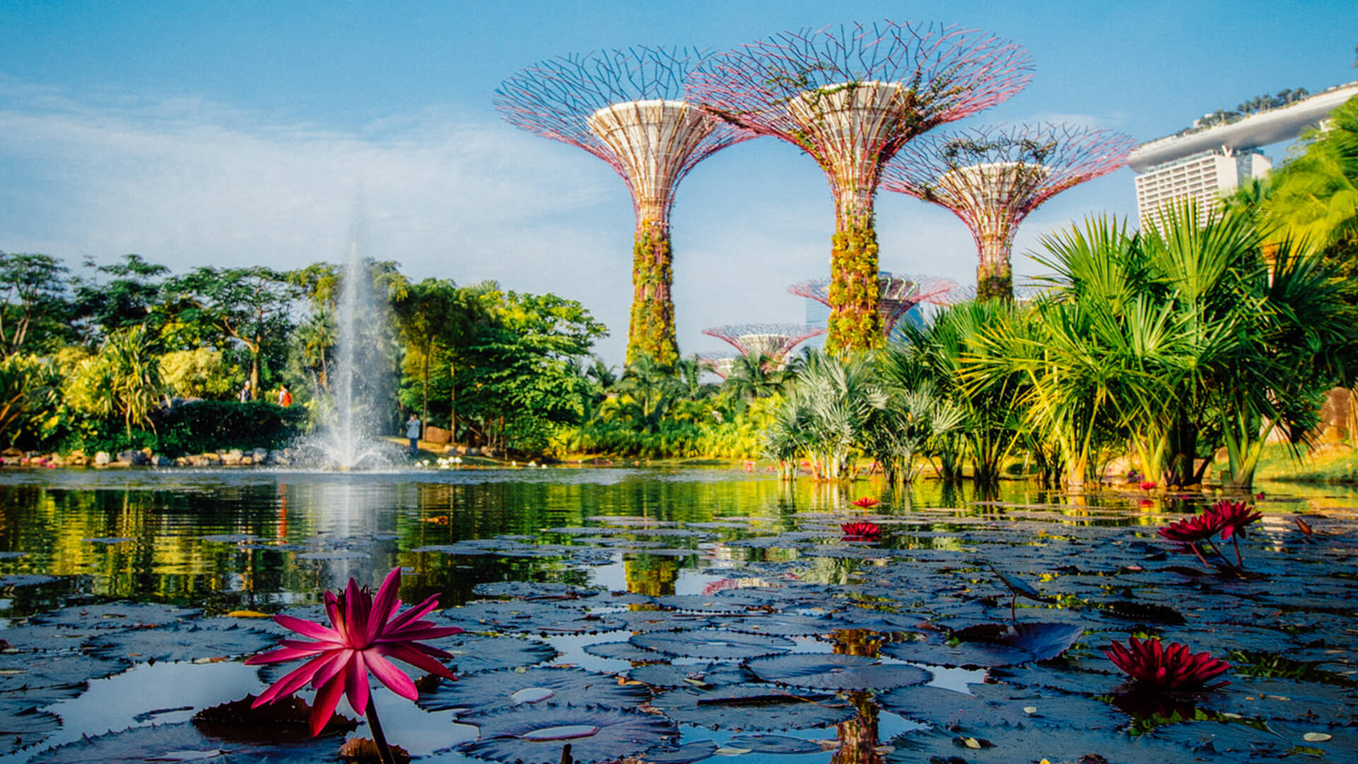 https://mdw-travel-data-us-east-1.s3.amazonaws.com/img/country/Singapore/Dragonfly-and-Kingfisher-Lakes/img_00.jpg
