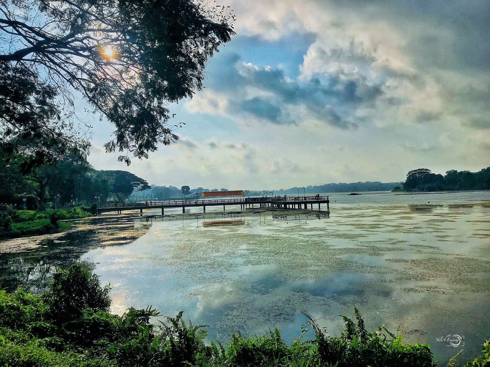 https://mdw-travel-data-us-east-1.s3.amazonaws.com/img/country/Singapore/Fishing-Paradise-@-Lower-Seletar-Reservoir/img_00.jpg