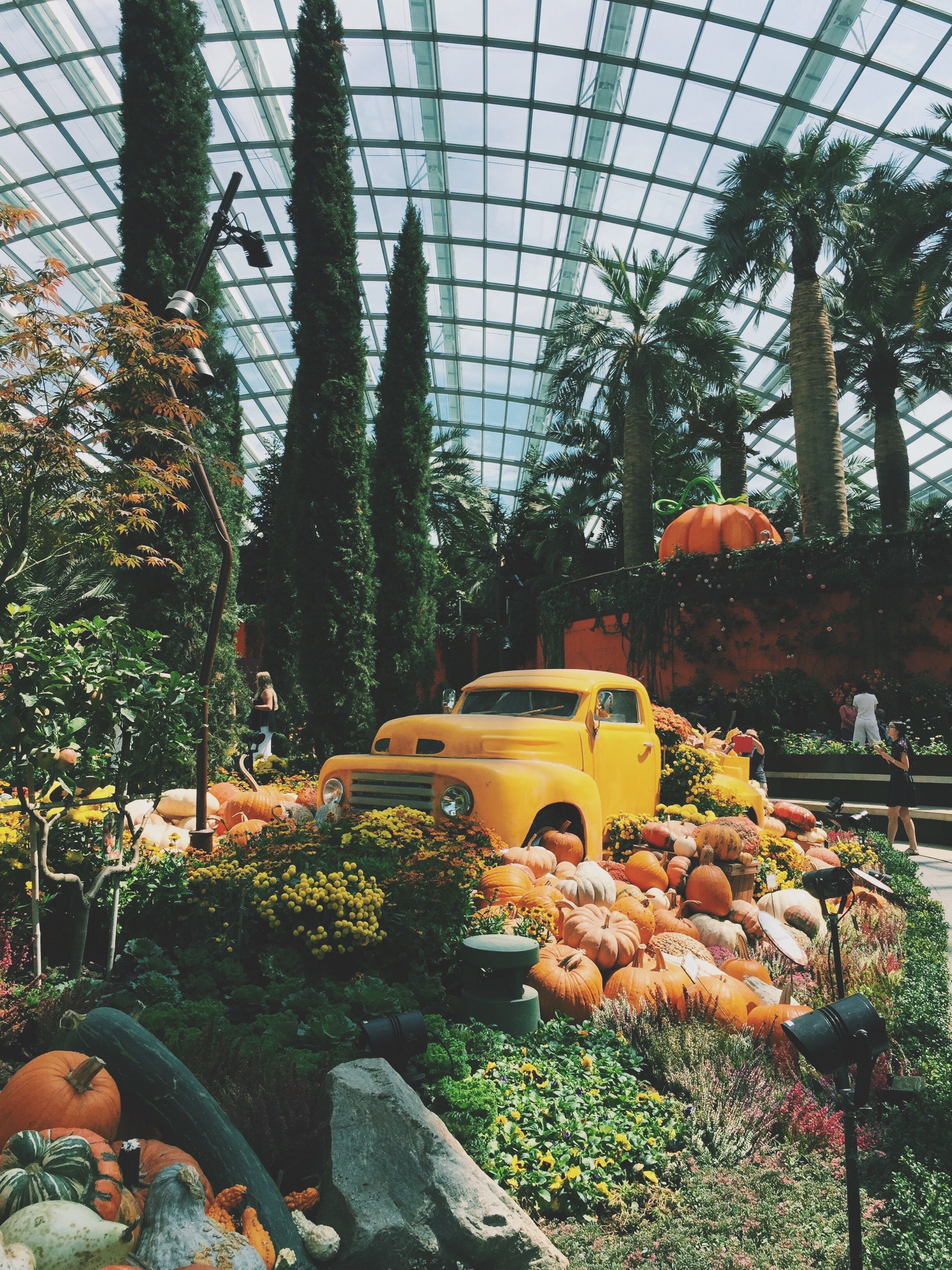 https://mdw-travel-data-us-east-1.s3.amazonaws.com/img/country/Singapore/Flower-Dome/img_01.jpg