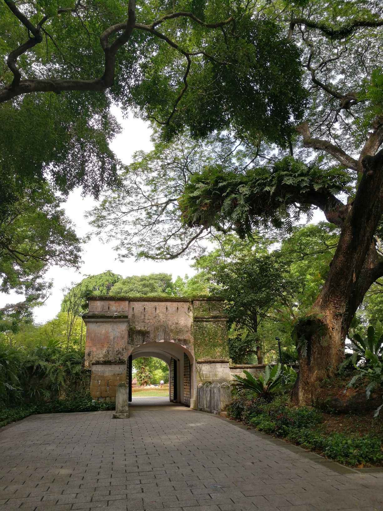 https://mdw-travel-data-us-east-1.s3.amazonaws.com/img/country/Singapore/Fort-Canning/img_01.jpg