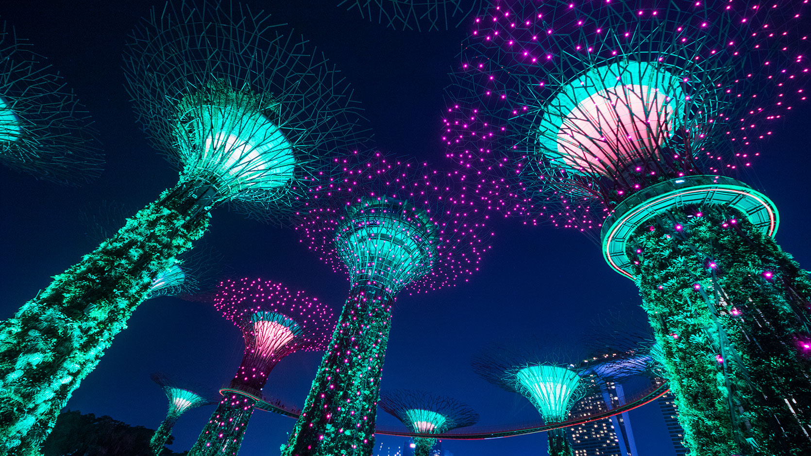 https://mdw-travel-data-us-east-1.s3.amazonaws.com/img/country/Singapore/Garden-Rhapsody/img_00.jpg