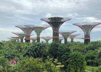 https://mdw-travel-data-us-east-1.s3.amazonaws.com/img/country/Singapore/Gardens-by-the-Bay--East-/img_02.jpg