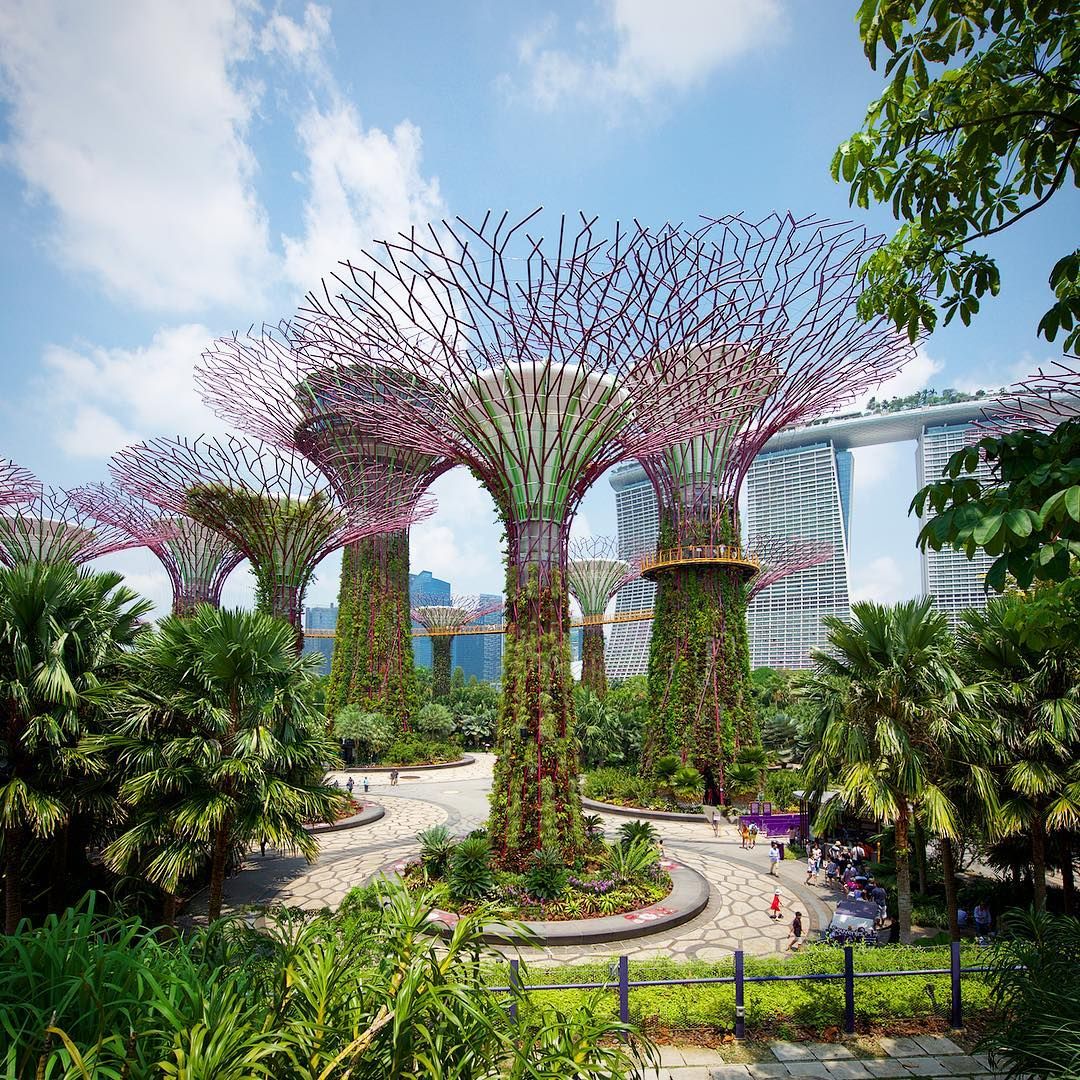 https://mdw-travel-data-us-east-1.s3.amazonaws.com/img/country/Singapore/Gardens-by-the-Bay--East-/img_03.jpg