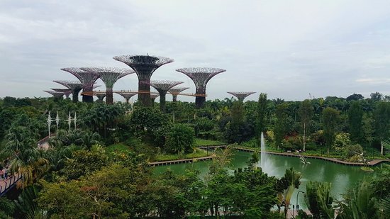 https://mdw-travel-data-us-east-1.s3.amazonaws.com/img/country/Singapore/Gardens-by-the-Bay/img_02.jpg