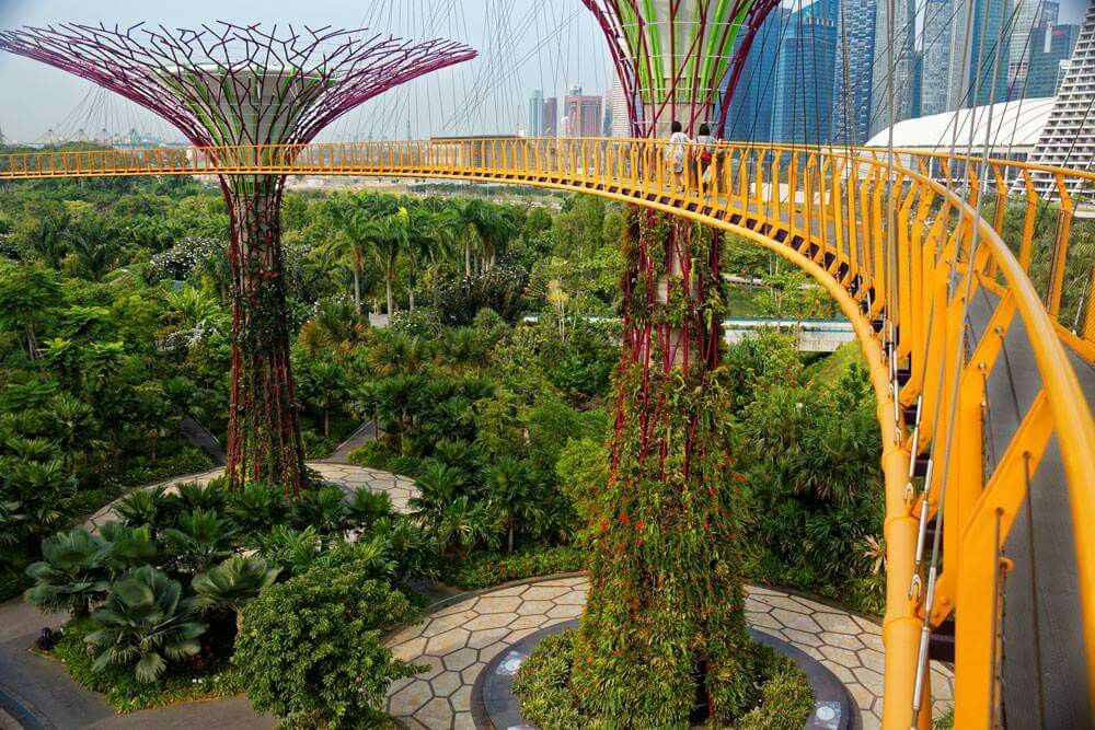 https://mdw-travel-data-us-east-1.s3.amazonaws.com/img/country/Singapore/Gardens-by-the-Bay/img_03.jpg