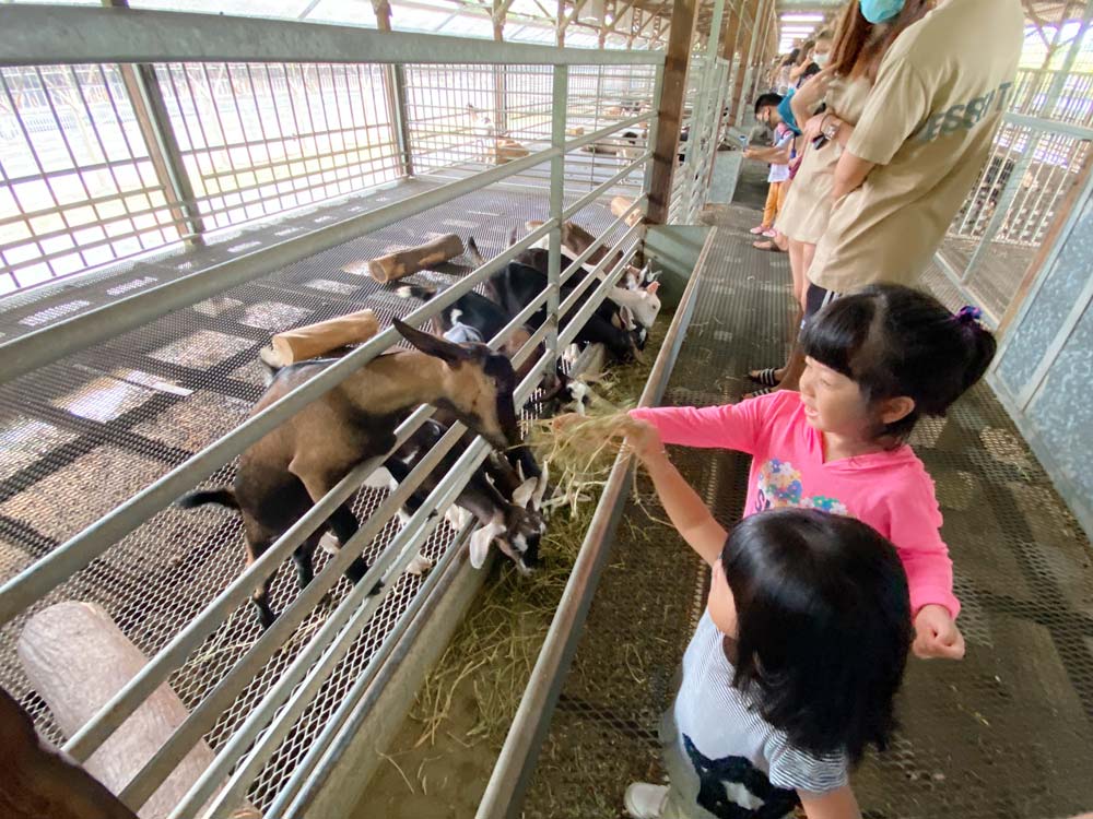 https://mdw-travel-data-us-east-1.s3.amazonaws.com/img/country/Singapore/Hay-Dairies/img_01.jpg