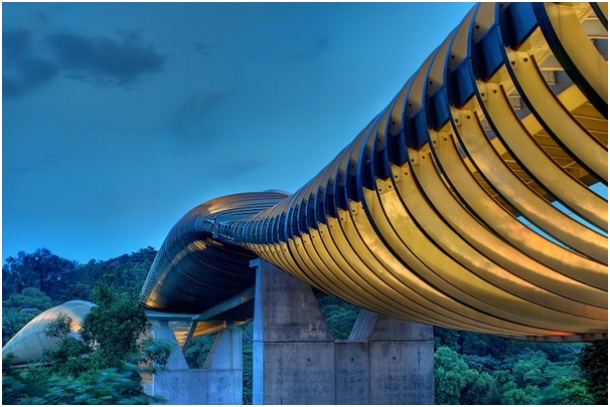 https://mdw-travel-data-us-east-1.s3.amazonaws.com/img/country/Singapore/Henderson-Waves-Bridge/img_04.jpg