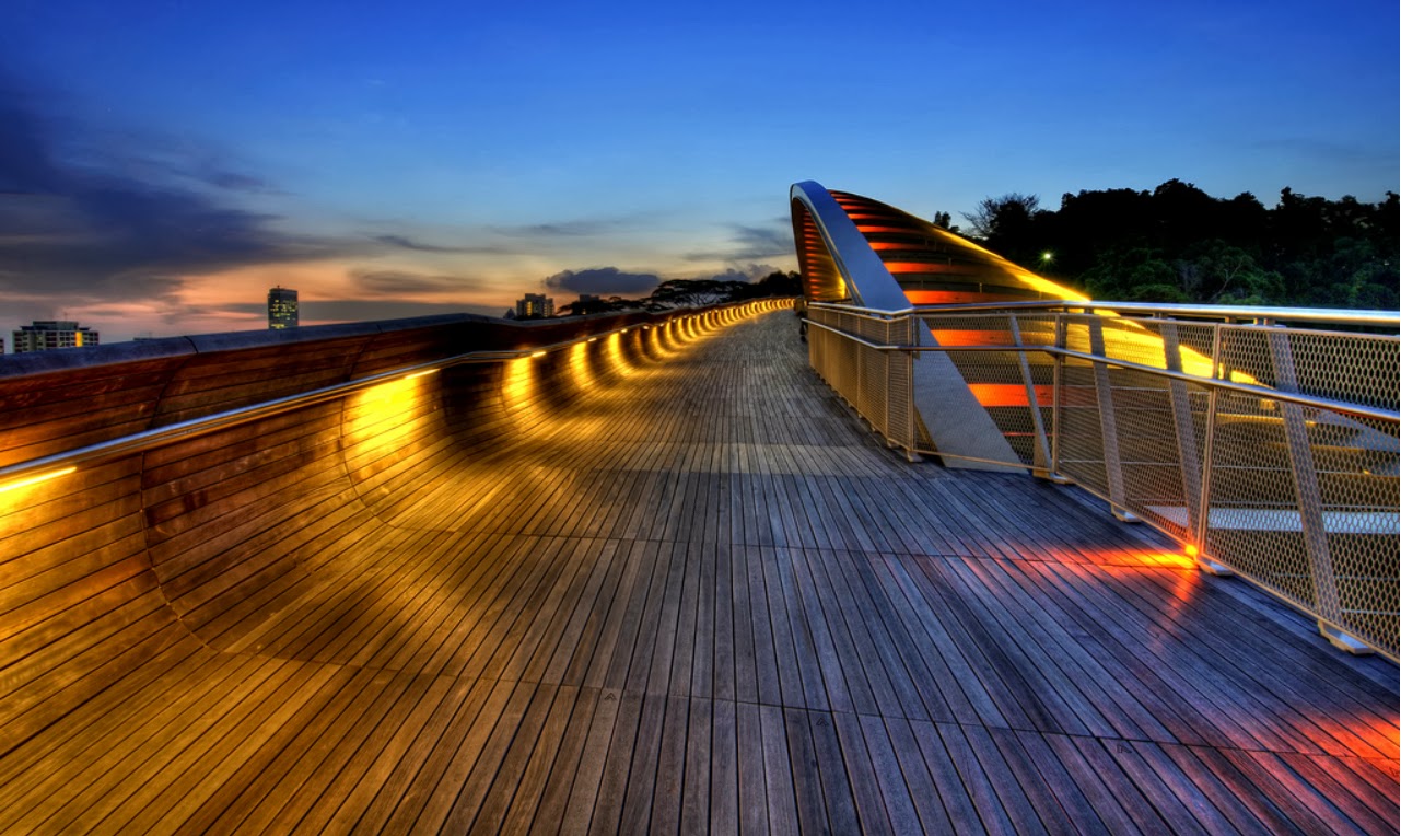 https://mdw-travel-data-us-east-1.s3.amazonaws.com/img/country/Singapore/Henderson-Waves-Bridge/img_05.jpg