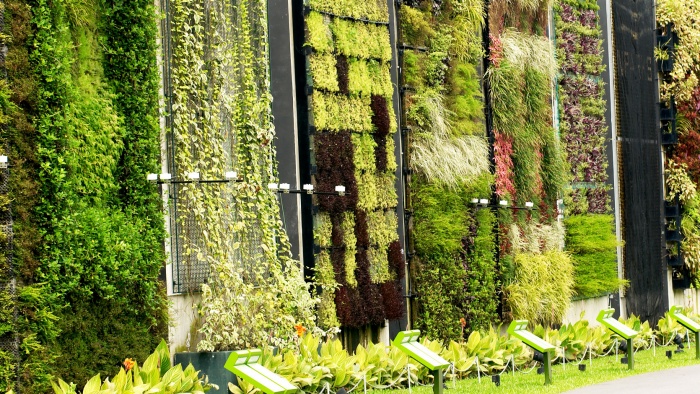 https://mdw-travel-data-us-east-1.s3.amazonaws.com/img/country/Singapore/HortPark/img_02.jpg