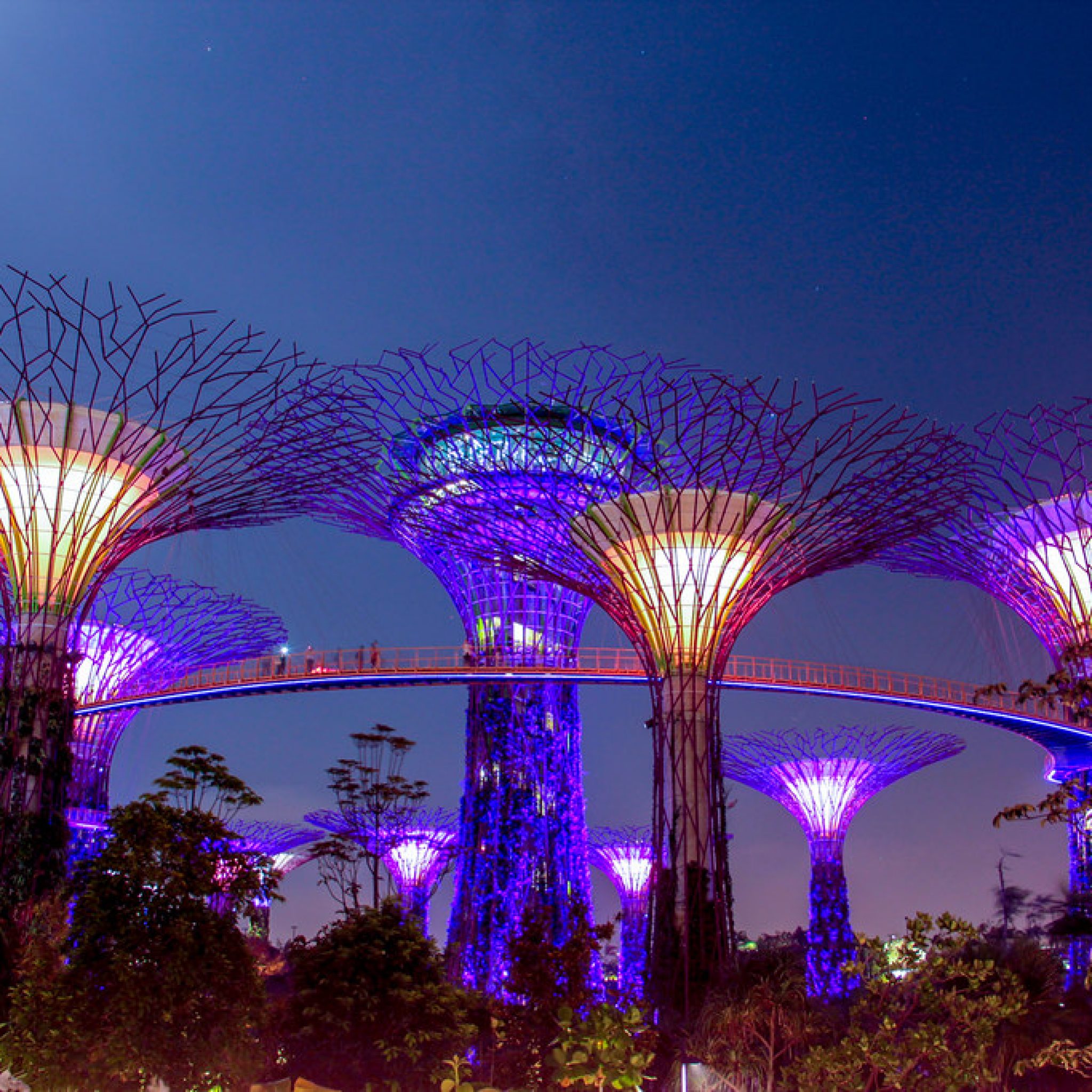 https://mdw-travel-data-us-east-1.s3.amazonaws.com/img/country/Singapore/Indian-Garden/img_01.jpg