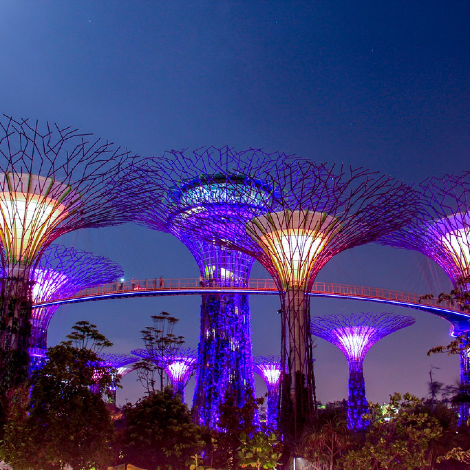 https://mdw-travel-data-us-east-1.s3.amazonaws.com/img/country/Singapore/Intan/img_01.jpg