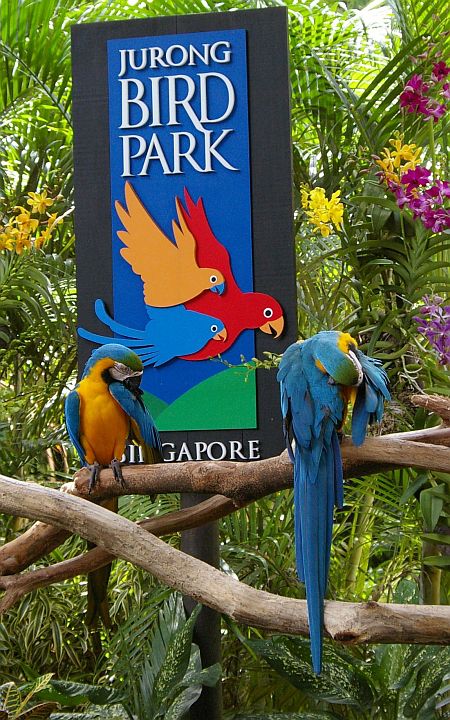 https://mdw-travel-data-us-east-1.s3.amazonaws.com/img/country/Singapore/Jurong-Bird-Park/img_02.jpg
