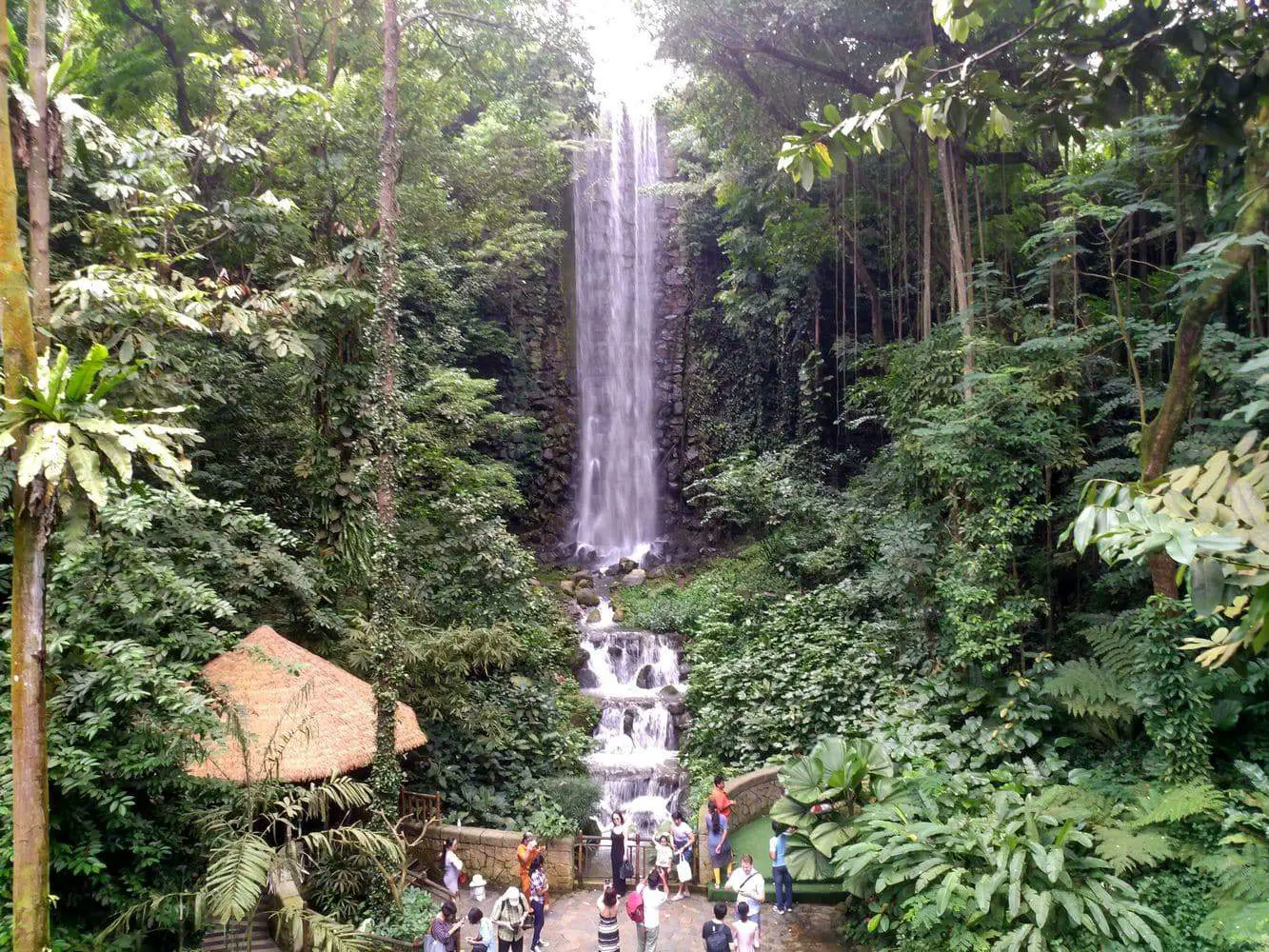 https://mdw-travel-data-us-east-1.s3.amazonaws.com/img/country/Singapore/Jurong-Bird-Park/img_03.jpg