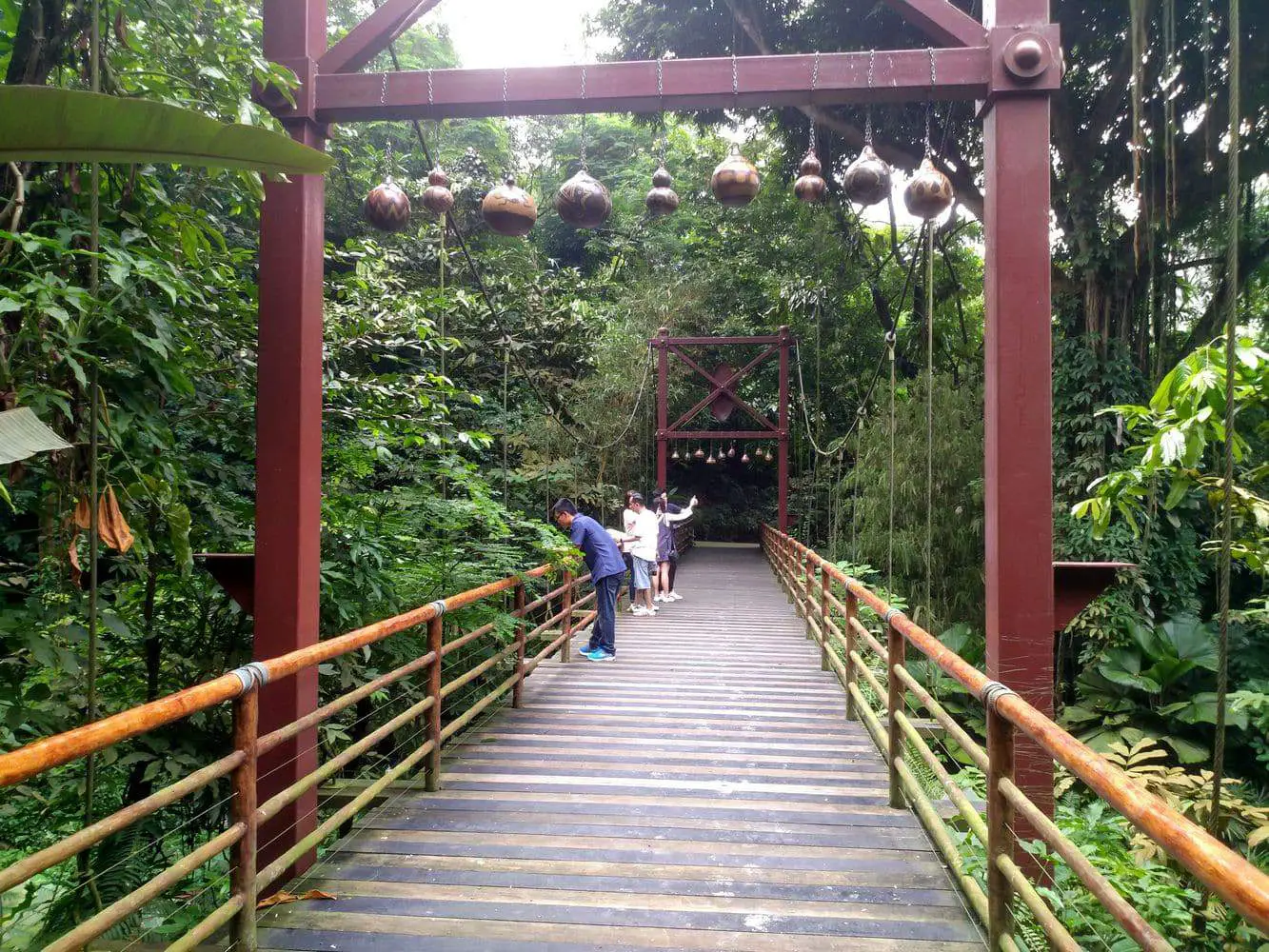 https://mdw-travel-data-us-east-1.s3.amazonaws.com/img/country/Singapore/Jurong-Bird-Park/img_05.jpg