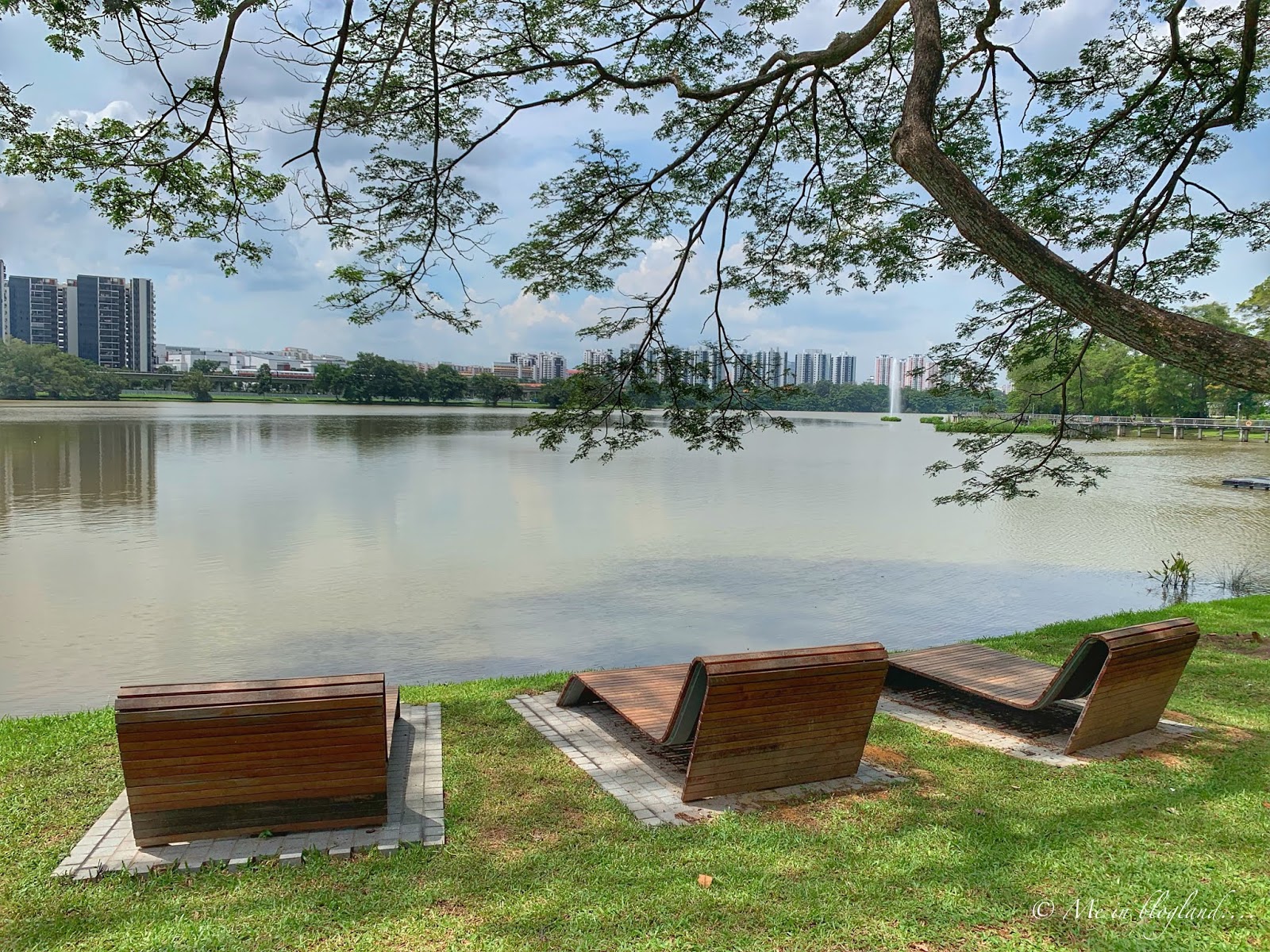 https://mdw-travel-data-us-east-1.s3.amazonaws.com/img/country/Singapore/Jurong-Lake-Gardens/img_03.jpg