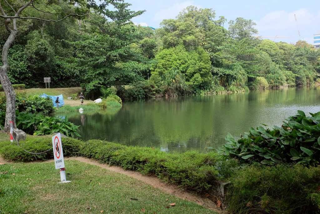 https://mdw-travel-data-us-east-1.s3.amazonaws.com/img/country/Singapore/Kent-Ridge-Park/img_01.jpg