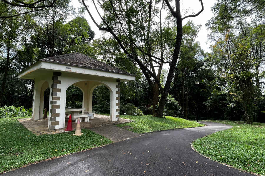 https://mdw-travel-data-us-east-1.s3.amazonaws.com/img/country/Singapore/Kent-Ridge-Park/img_02.jpg