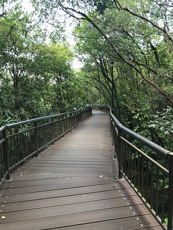 https://mdw-travel-data-us-east-1.s3.amazonaws.com/img/country/Singapore/Kent-Ridge-Park/img_03.jpg