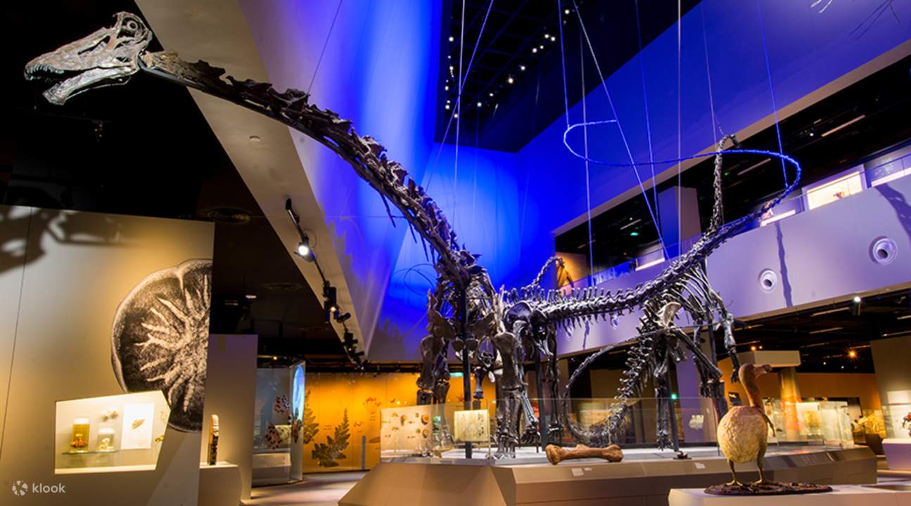 https://mdw-travel-data-us-east-1.s3.amazonaws.com/img/country/Singapore/Lee-Kong-Chian-Natural-History-Museum/img_03.jpg
