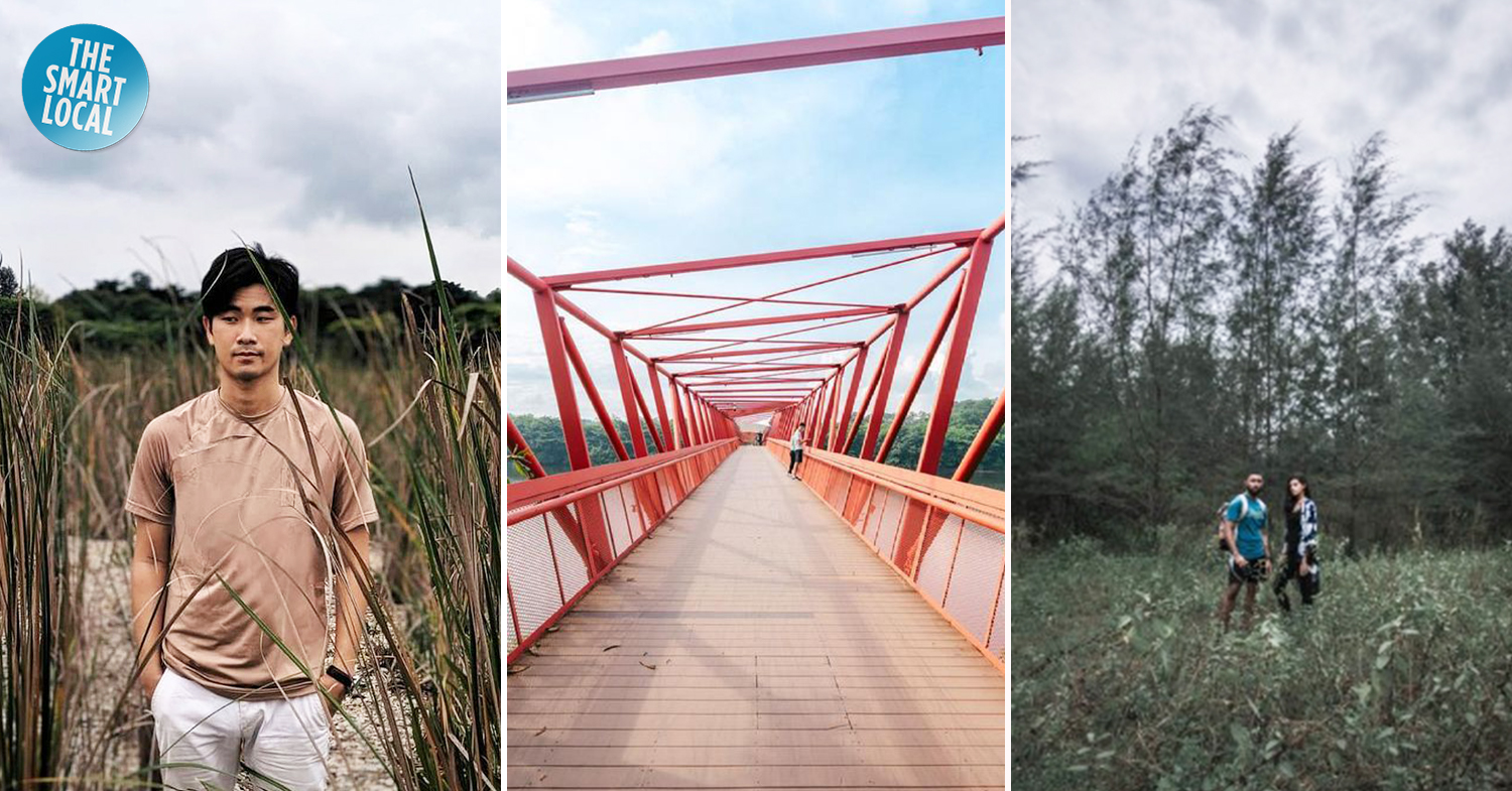https://mdw-travel-data-us-east-1.s3.amazonaws.com/img/country/Singapore/Lorong-Halus-Wetland/img_01.jpg
