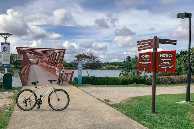 https://mdw-travel-data-us-east-1.s3.amazonaws.com/img/country/Singapore/Lorong-Halus-Wetland/img_02.jpg