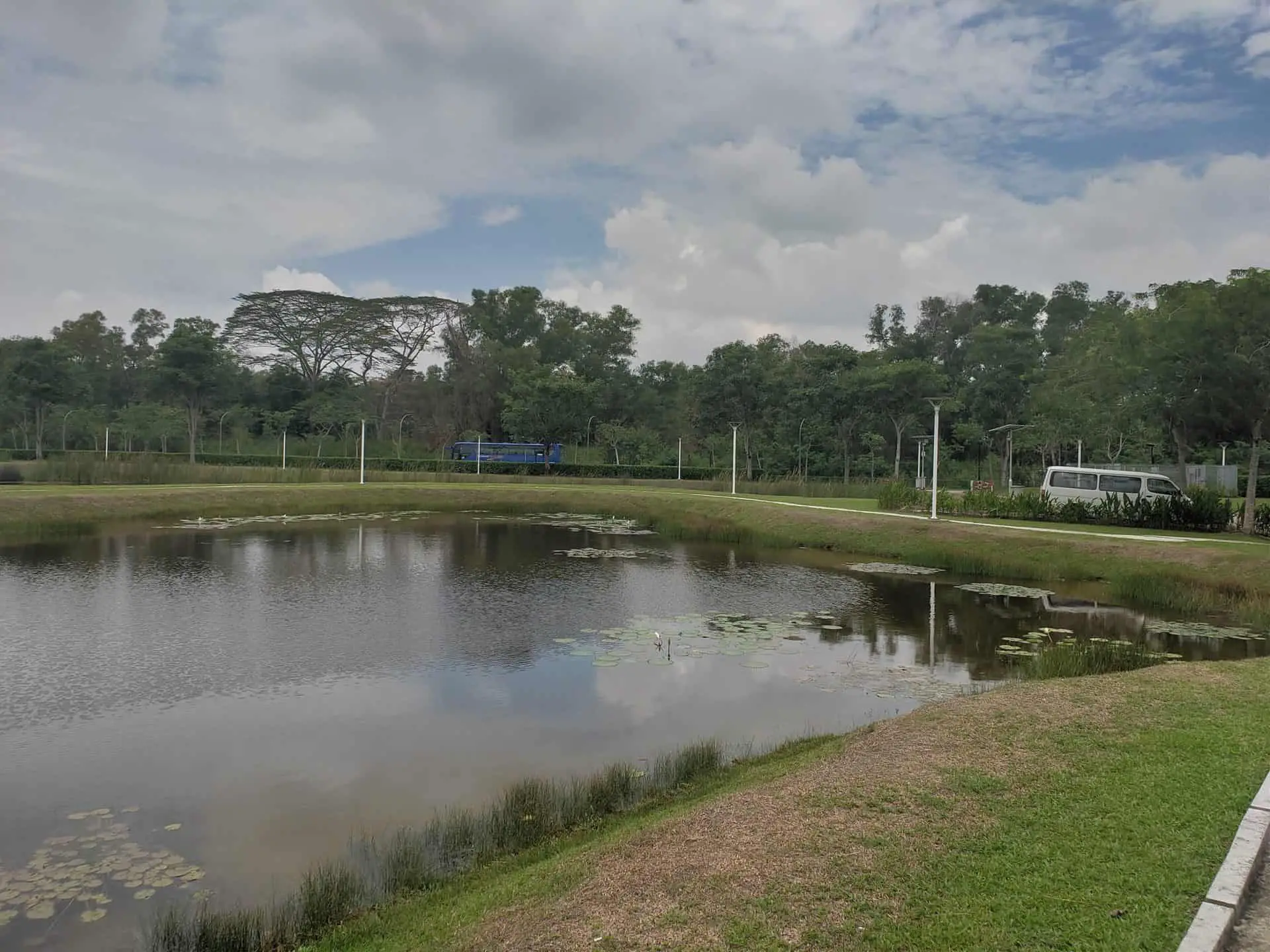 https://mdw-travel-data-us-east-1.s3.amazonaws.com/img/country/Singapore/Lorong-Halus-Wetland/img_03.jpg
