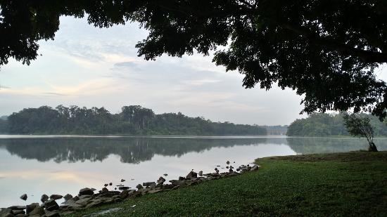 https://mdw-travel-data-us-east-1.s3.amazonaws.com/img/country/Singapore/Lower-Pierce-Reservoir-Park/img_03.jpg