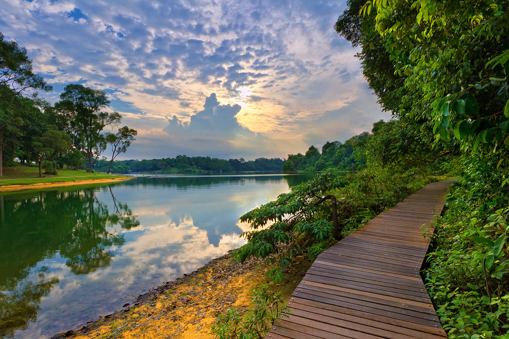 https://mdw-travel-data-us-east-1.s3.amazonaws.com/img/country/Singapore/MacRitchie-Reservoir-Park/img_00.jpg