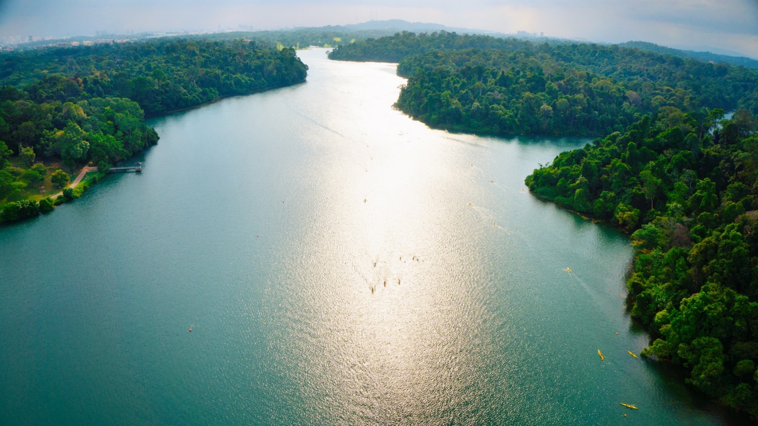 https://mdw-travel-data-us-east-1.s3.amazonaws.com/img/country/Singapore/MacRitchie-Reservoir-Park/img_01.jpg